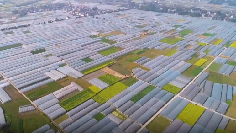 【壮观!峨眉2万亩蔬菜基地如巨型调色板 】今日#惊蛰#,符溪镇是四川峨眉山市重要的蔬菜产地